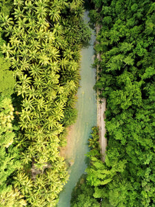Tropical state of mind