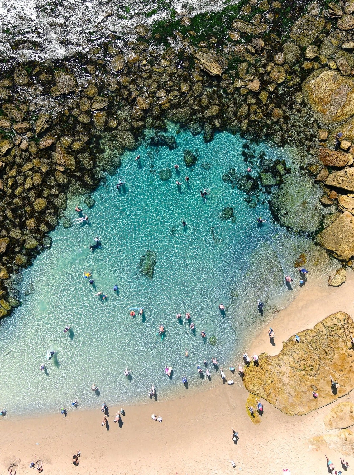 Little oasis