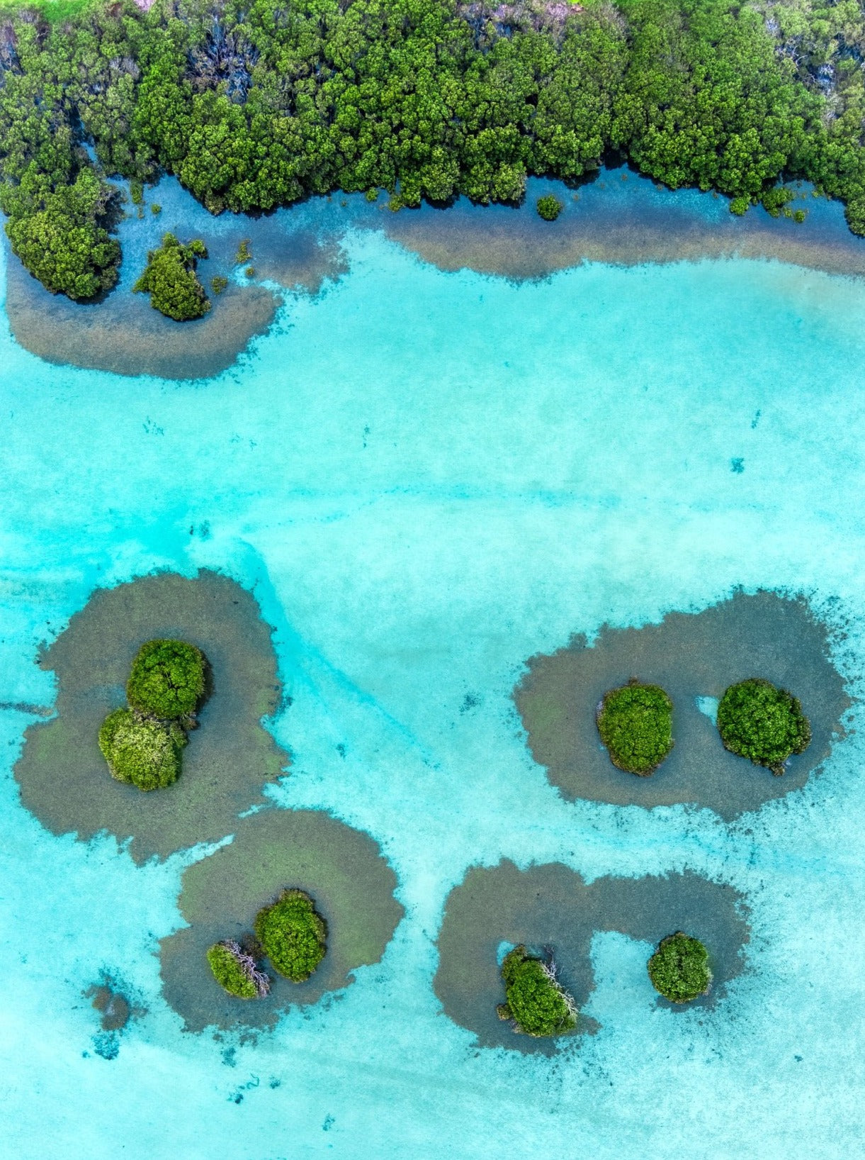 Mangrove grooving