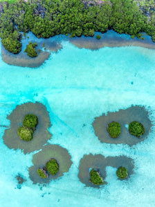 Mangrove grooving