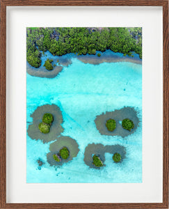 Mangrove grooving