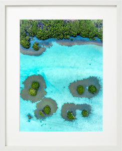 Mangrove grooving